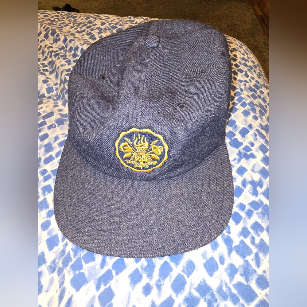 Vans hat